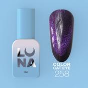Gel polish Color №258 Cat Eye - 13ml LUNAMOON image