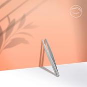 Staleks Eyebrow tweezers BEAUTY &amp; CARE 10 TYPE 3 (wide beveled)