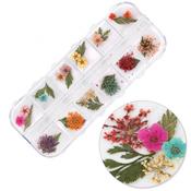 Dried flowers for nail decoration in a casette Molly Nails type E 36 pcs
