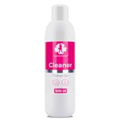 Cleaner for Removing the Dispersion Layer Allepaznokcie Perfume Line 1000 ml
