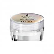 DUST Aurora Nail Powders Victoria Vynn image