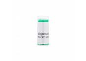 Applicators Micro brush 2 mm