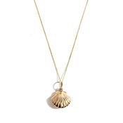 9ct Yellow Gold  Oyster Shell Slide Locket