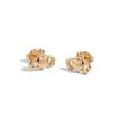 9ct Gold Claddagh Studs image