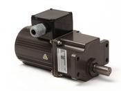 BA/BB Motor/ Gearbox – Excluding Pully image