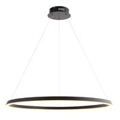 Staten 1 Pendant Light - Black image