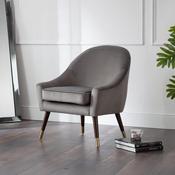 Elliot Grey Velvet Accent Chair - 75cm Living Room Chair image