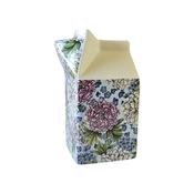 Carton Jug
