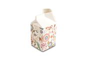 Carton Jug