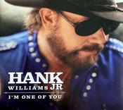 Hank Williams Jr - I'm One Of You image