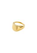 Presence Gold Plated Ring - Gold