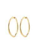 Presence Gold Plated Hoop Earrings - Gold