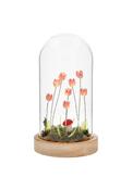 Flower Dell Led Dome Pink
