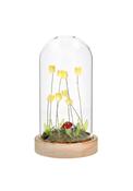 Flower Dell Led Dome Yellow