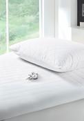 All Cotton Pillow Protector - White