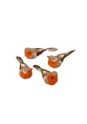 Robin Decoration 4 Pack - Multi