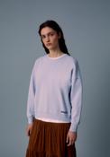 Faded Embroidered Sweatshirt - Blue image