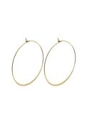 Tilly Gold Plated Large Hoop Earrings - Gold