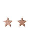 Ava Rose Gold Plated Star Earrings - Rose Gold Plated