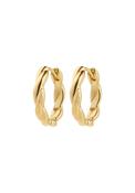 Declan Gold Plated Earrings - Gold