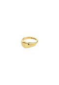 Arin Gold Plated Ring - Gold
