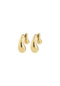 Jennings Gold Plated Earrings - Gold
