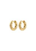 Nevaeh Gold Plated Hoop Earrings - Gold