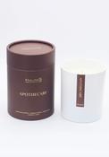 Apothecary Soy Blend Candle - Apothecary