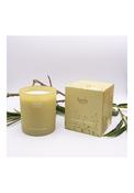 Buttercup Bee Balm Boxed Candle - Yellow image