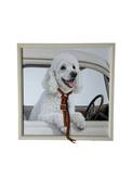 Dog In Car Canvas - Multi
