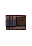 Viscose Scarf - Brown / Blue