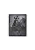 Giraffe Wall Art - Multi