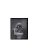 Poodle Wall Art - Multi