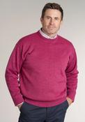 Plain Essential Crew Neck Knit - Cerise