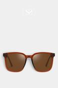 Eco Shades Brown Sunglasses - Morello