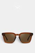Eco Shades Brown Sunglasses - Martelli