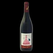Roberta Fugatti Marzemino - 75cl image