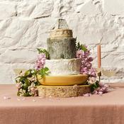 Newtown Cake (180-200 Guests)
