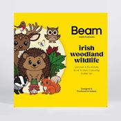 Irish woodland wildlife Activity Book &amp; Colouring Set. image