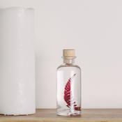 Preserved Plant - Red Rumohra Fern