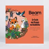 Irish Urban wildlife Activity Book &amp; Colouring Set image