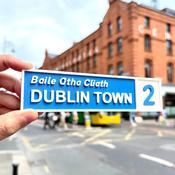 Dublin City Street Sign Magnet - Dublin Town
