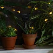 Bee Solar String Lights