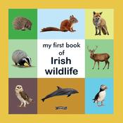 my first book of irish wildlife image
