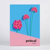 Petal Greeting Card Box image