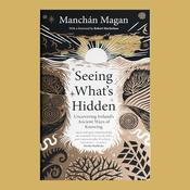 Seeing What's Hidden - Manchán Magan image