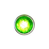 Irish Shamrock Paperweight