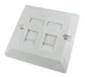 2 Gang Dual Port Cat6 Flush Faceplate Socket - Gary’s Tech Hub