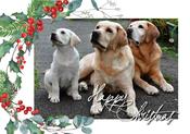 Christmas Cards Pack 2026: 2 for €10 image