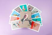 Paw Pear Greeting Card Box image